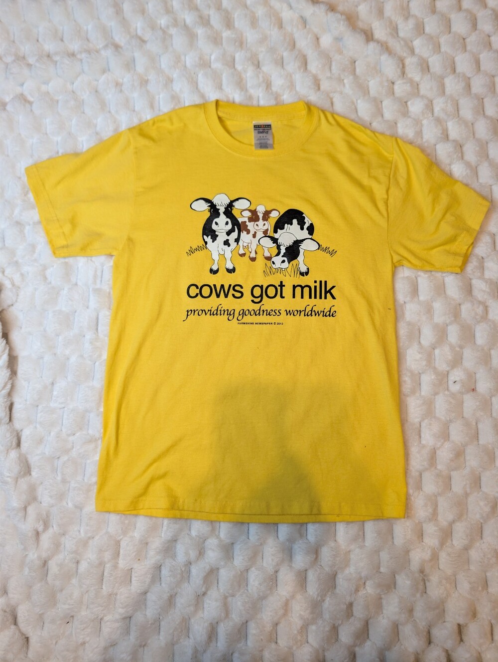 Jerzees Farmshine Newspaper T Shirt M Medium Yellow Cows Got Milk Promo Graphic